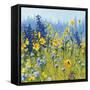 Joyful in July III-Shirley Novak-Framed Stretched Canvas