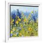 Joyful in July III-Shirley Novak-Framed Art Print