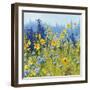 Joyful in July III-Shirley Novak-Framed Art Print