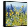 Joyful in July III-Shirley Novak-Framed Stretched Canvas