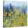 Joyful in July III-Shirley Novak-Stretched Canvas