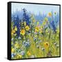 Joyful in July III-Shirley Novak-Framed Stretched Canvas