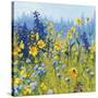 Joyful in July III-Shirley Novak-Stretched Canvas