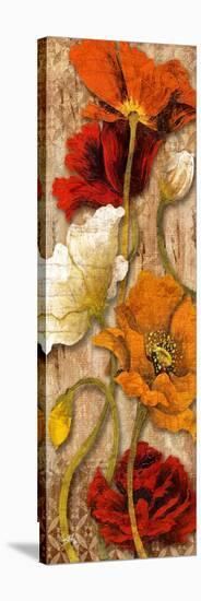 Joyful Poppies II-Elizabeth Medley-Stretched Canvas