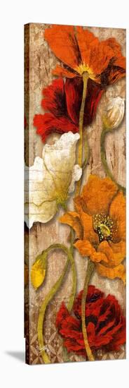 Joyful Poppies II-Elizabeth Medley-Stretched Canvas