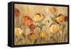 Joyful Ranunculi-Silvia Vassileva-Framed Stretched Canvas