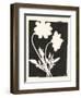 Joyful Spring I Black-Moira Hershey-Framed Art Print