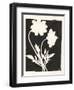 Joyful Spring I Black-Moira Hershey-Framed Art Print