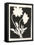 Joyful Spring I Black-Moira Hershey-Framed Stretched Canvas