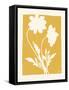 Joyful Spring I Golden Yellow-Moira Hershey-Framed Stretched Canvas