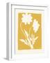 Joyful Spring I Golden Yellow-Moira Hershey-Framed Art Print