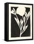 Joyful Spring II Black-Moira Hershey-Framed Stretched Canvas