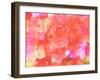 Joyful Summer I-Eva Bane-Framed Photographic Print