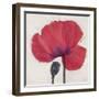 Joyous Poppy-Ivo Stoyanov-Framed Art Print