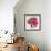 Joyous Poppy-Ivo Stoyanov-Framed Art Print displayed on a wall