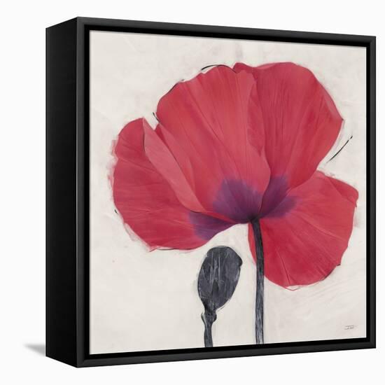 Joyous Poppy-Ivo Stoyanov-Framed Stretched Canvas