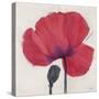 Joyous Poppy-Ivo Stoyanov-Stretched Canvas