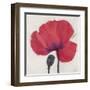 Joyous Poppy-Ivo Stoyanov-Framed Art Print