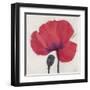 Joyous Poppy-Ivo Stoyanov-Framed Art Print