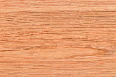 A Wood Texture for Pattern and Background.-joytasa-Photographic Print