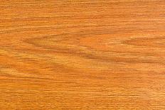A Wood Texture for Pattern and Background-joytasa-Photographic Print
