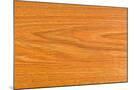 Wood Mount