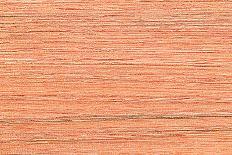 A Wood Texture for Pattern and Background.-joytasa-Mounted Photographic Print