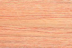 Wood Texture for Pattern and Background-joytasa-Laminated Photographic Print