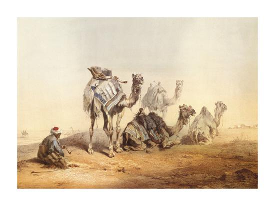 Premium Giclee Print, , large
