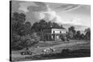 Stretched Canvas
