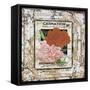 JP0541-Tin Tile-Carnation-Jean Plout-Framed Stretched Canvas