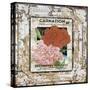 JP0541-Tin Tile-Carnation-Jean Plout-Stretched Canvas