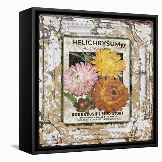 JP0546-Tin Tile-Helchrysum-Jean Plout-Framed Stretched Canvas