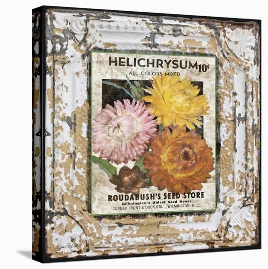 JP0546-Tin Tile-Helchrysum-Jean Plout-Stretched Canvas