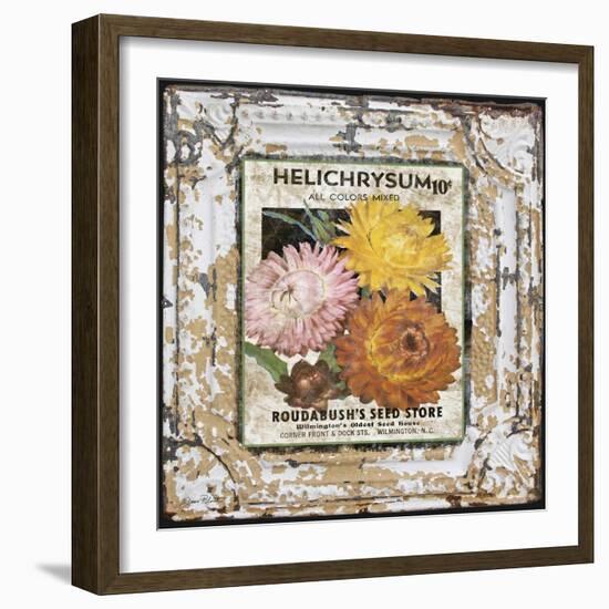 JP0546-Tin Tile-Helchrysum-Jean Plout-Framed Giclee Print