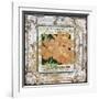 JP0547-Tin Tile-Cosmos-Jean Plout-Framed Giclee Print