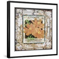 JP0547-Tin Tile-Cosmos-Jean Plout-Framed Giclee Print