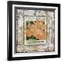 JP0547-Tin Tile-Cosmos-Jean Plout-Framed Giclee Print