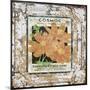 JP0547-Tin Tile-Cosmos-Jean Plout-Mounted Giclee Print