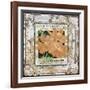 JP0547-Tin Tile-Cosmos-Jean Plout-Framed Giclee Print