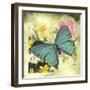 JP1032-Butterfly Visions With Bleed-Jean Plout-Framed Giclee Print