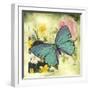 JP1032-Butterfly Visions With Bleed-Jean Plout-Framed Giclee Print