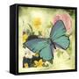 JP1032-Butterfly Visions With Bleed-Jean Plout-Framed Stretched Canvas