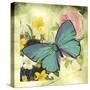 JP1032-Butterfly Visions With Bleed-Jean Plout-Stretched Canvas