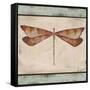 JP1068-Aqua Dragonfly-Jean Plout-Framed Stretched Canvas