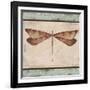 JP1068-Aqua Dragonfly-Jean Plout-Framed Giclee Print