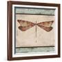 JP1068-Aqua Dragonfly-Jean Plout-Framed Giclee Print