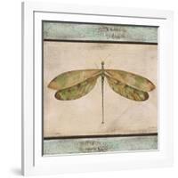 JP1069_Dragonfly Tapestry-Jean Plout-Framed Giclee Print
