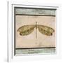 JP1069_Dragonfly Tapestry-Jean Plout-Framed Giclee Print