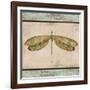 JP1069_Dragonfly Tapestry-Jean Plout-Framed Giclee Print